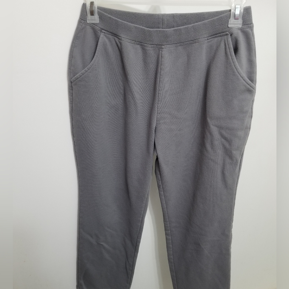 VGUC gray Kim Rogers petite pants